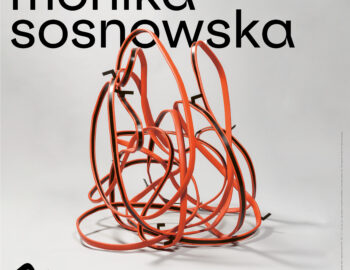 Wystawa Moniki Sosnowskiej w Zentrum Paul Klee 03.06.2023 – 10.09.2023